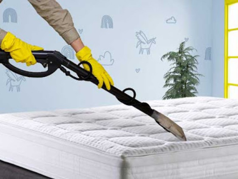 Mattress and rugs cleaning